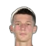 S. Džodić